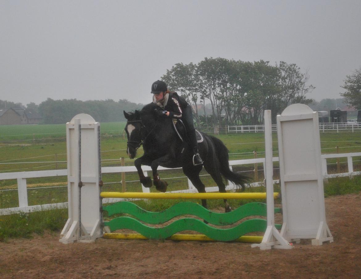 Anden særlig race Beauty "BÆSTET"  <3 billede 11