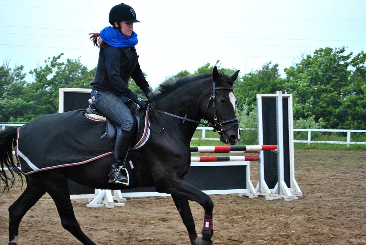 Anden særlig race Beauty "BÆSTET"  <3 billede 12