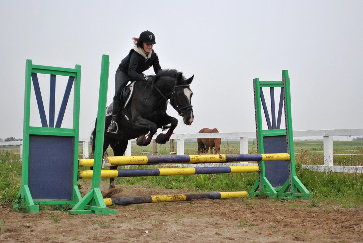 Anden særlig race Beauty "BÆSTET"  <3 billede 14