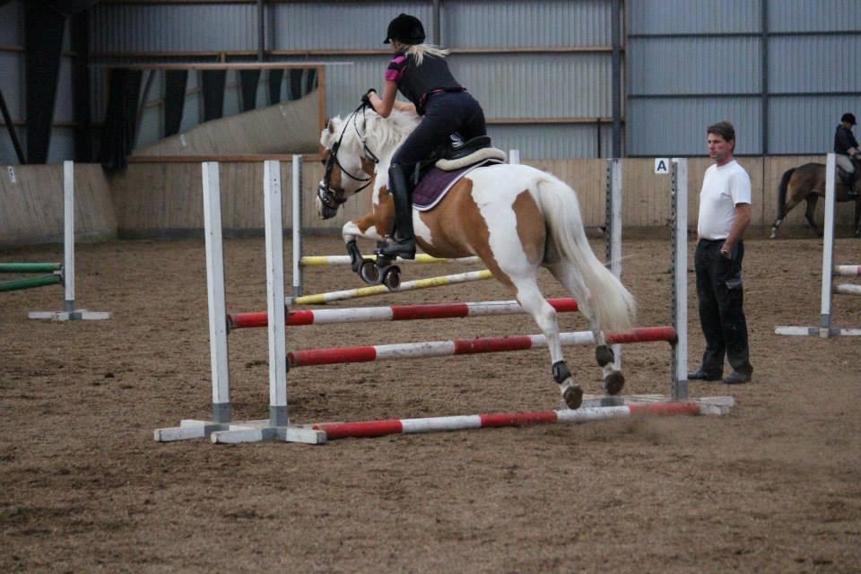 Pinto Flicka - ANE 12/13 <3 billede 20