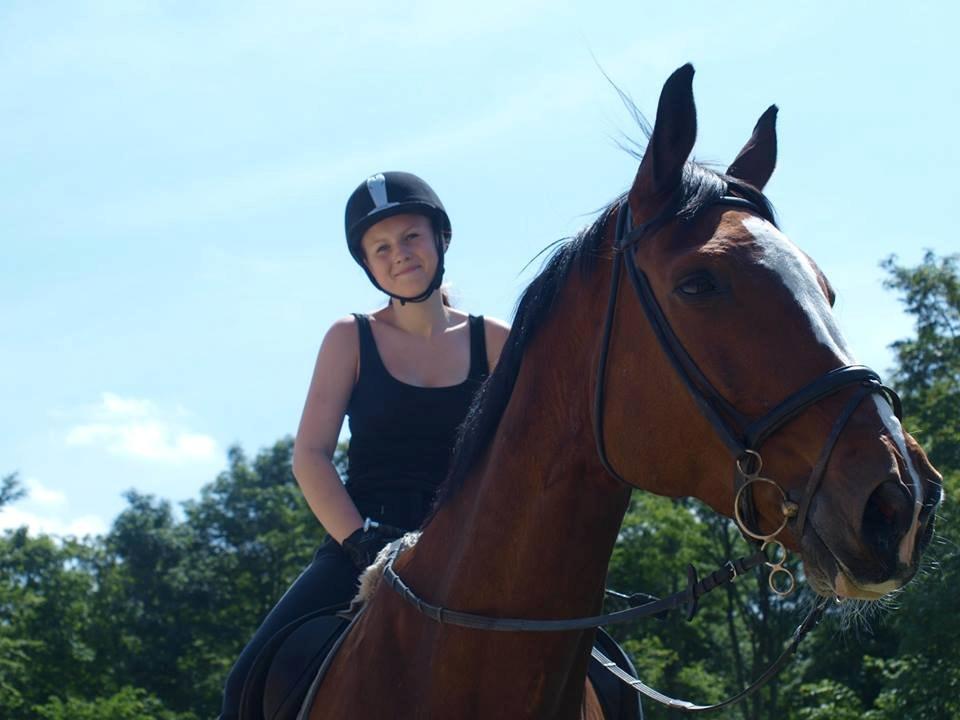 Svensk Varmblod Cadette billede 2