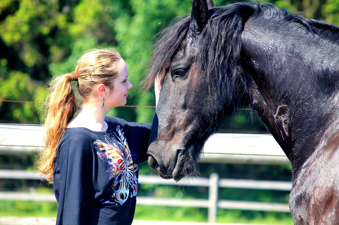 Frieser Luis Rustong billede 14