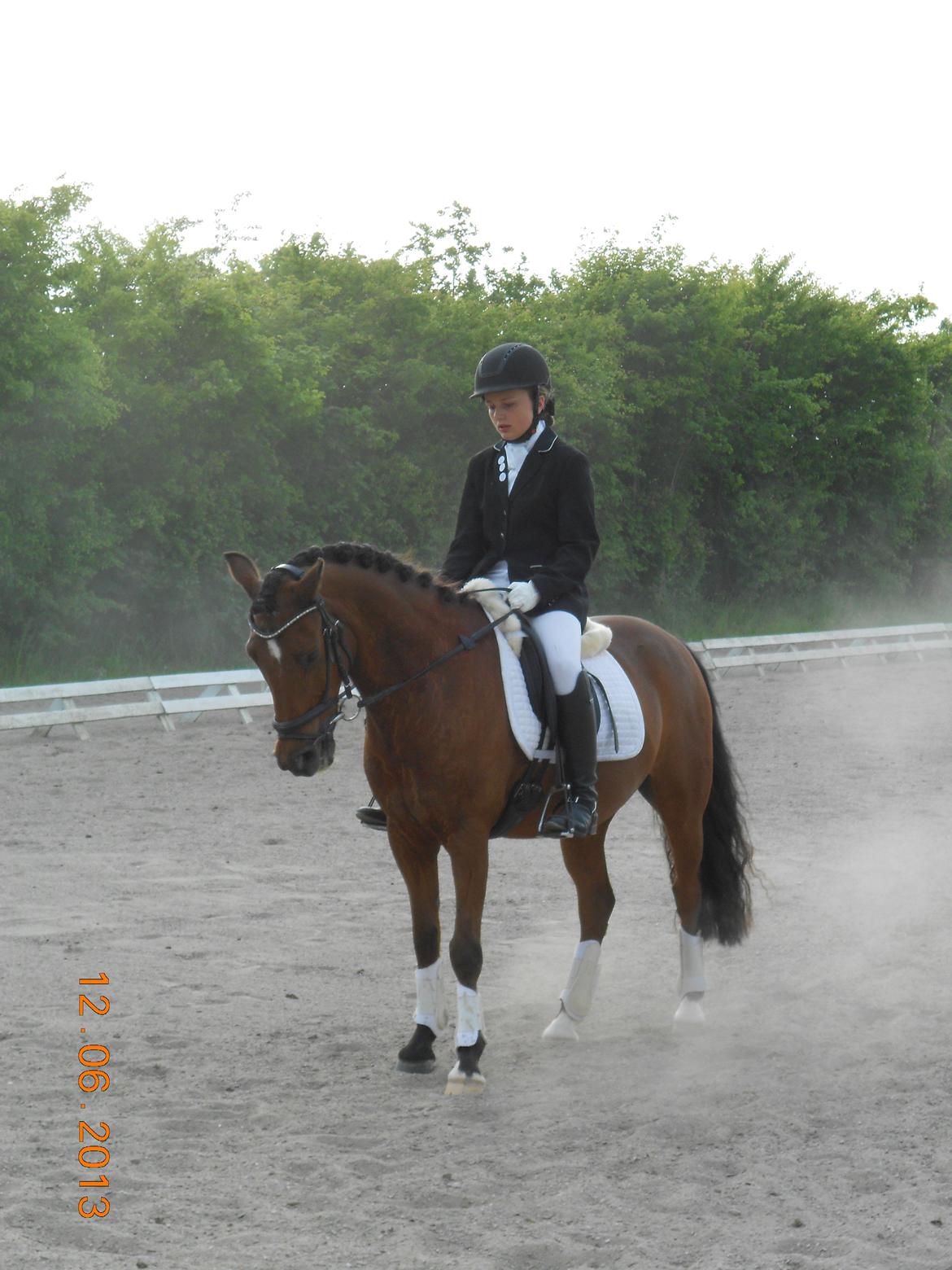 DSP Sultan fra Højbo<3 billede 4