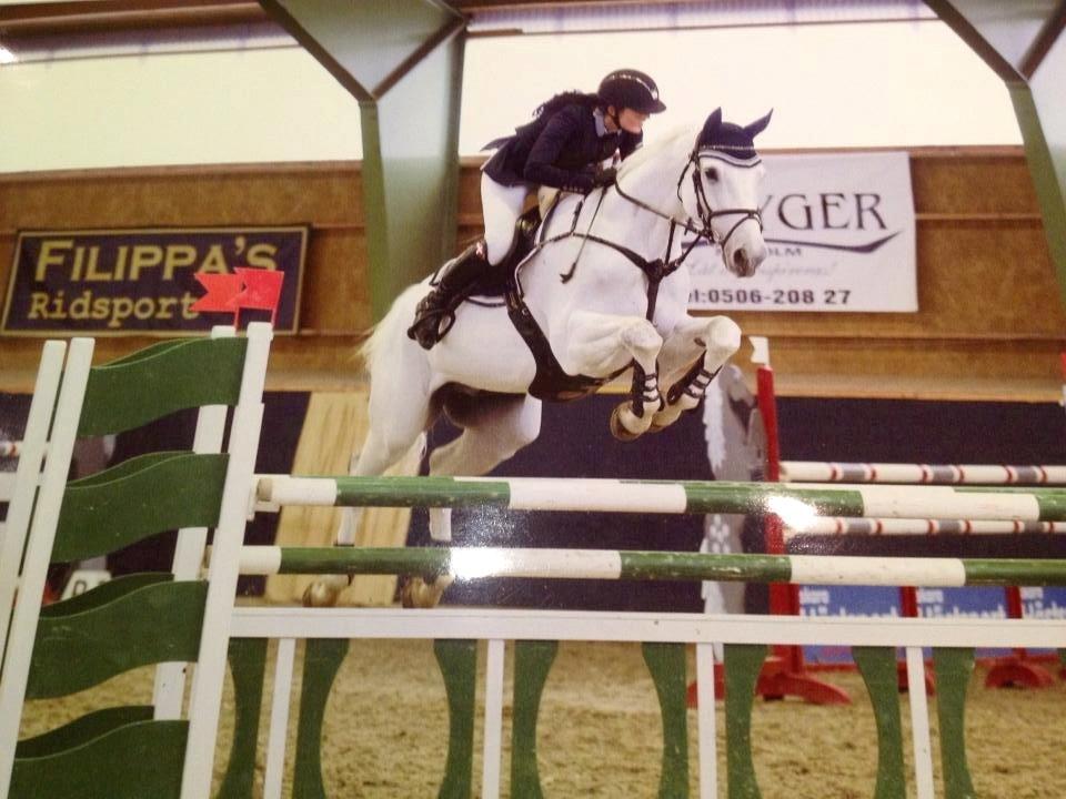 Dansk Varmblod NICE FELLOW - CSIJ-A Baltic Cup Grevagården Sverige 2013, stor tour. billede 3