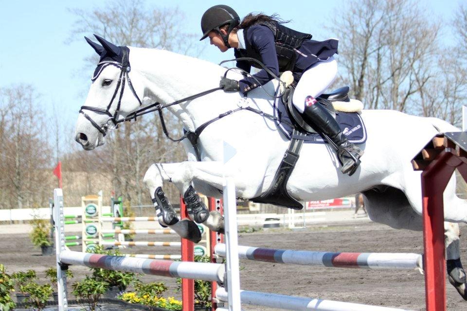 Dansk Varmblod NICE FELLOW - Landsstævne Vilhelmsborg 2013, 125 cm. billede 15