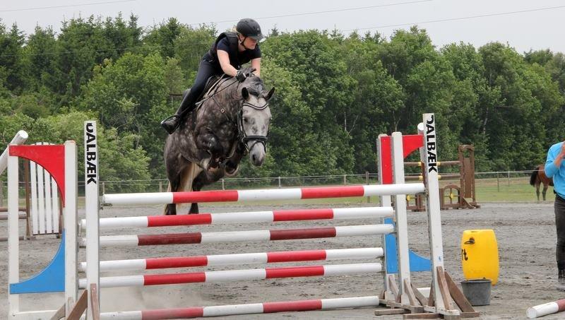 Anden særlig race Bech's Padraigh aka. Paddy :-) - Højdespringning 135 cm! d. 12.6.13 billede 7