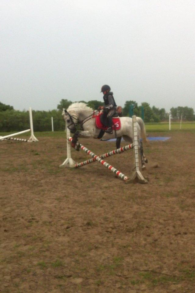 DSP nordenhøjs freja billede 2