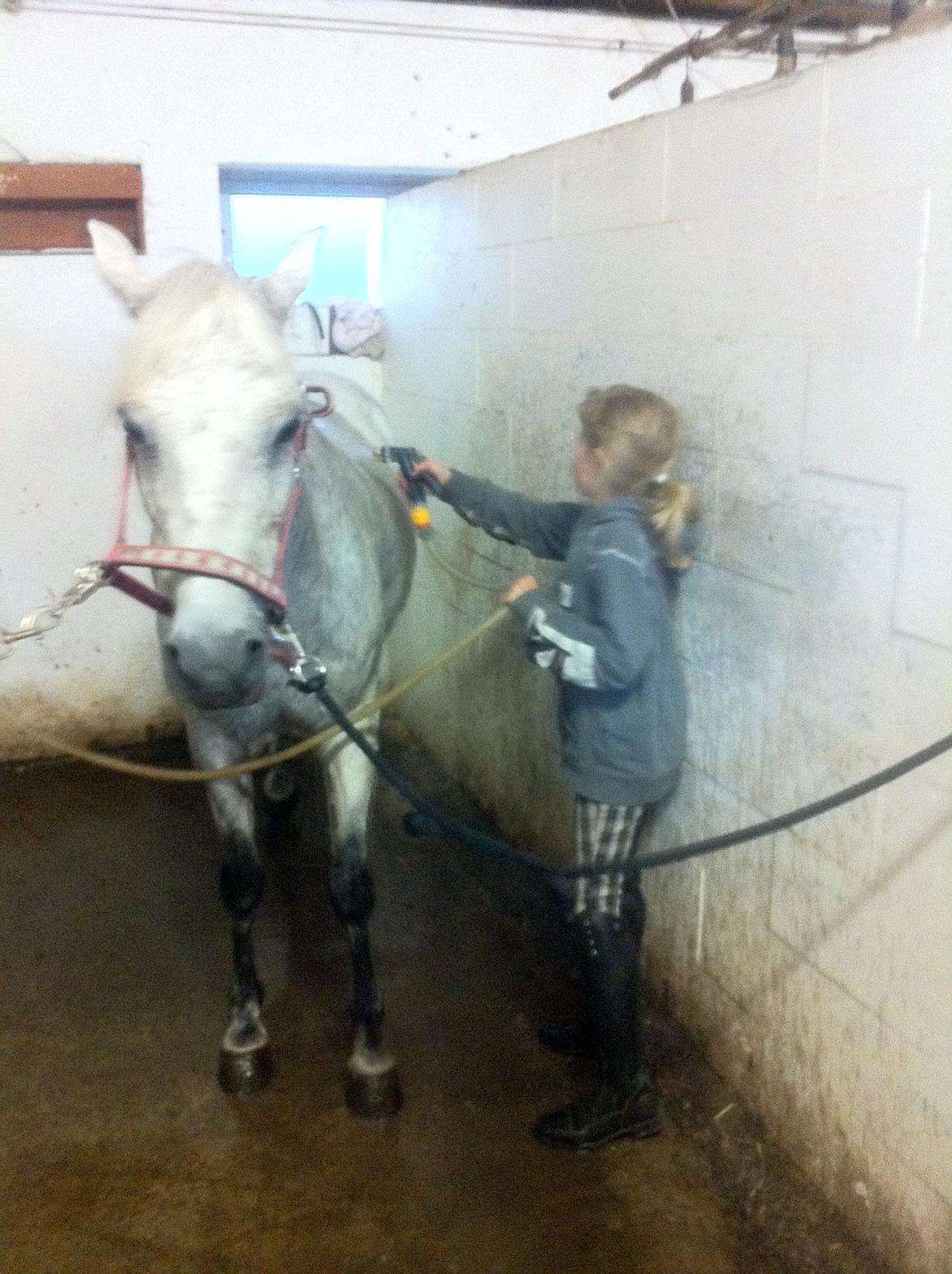 DSP nordenhøjs freja billede 4