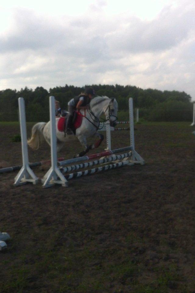 DSP nordenhøjs freja billede 3