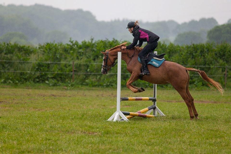 Anden særlig race Capella - Spring i regnvejr... <3 billede 9