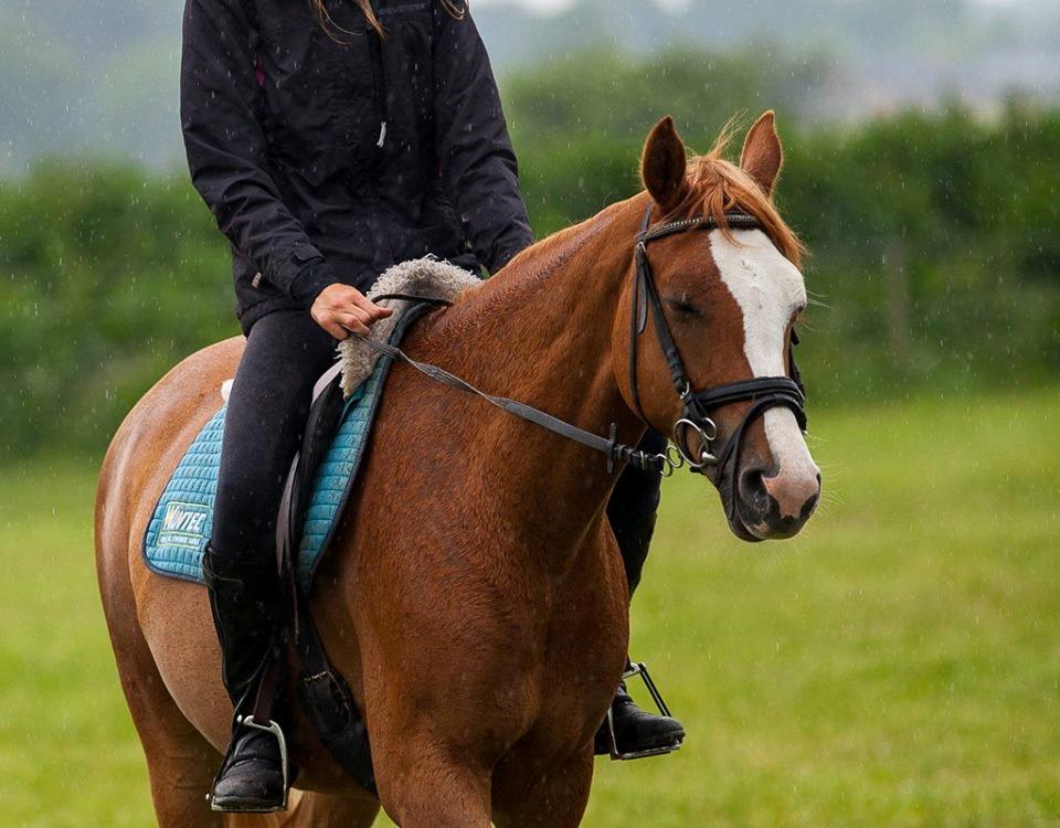 Anden særlig race Capella - Nurrrh du ser sød ud Pella! <3 :-*  billede 10