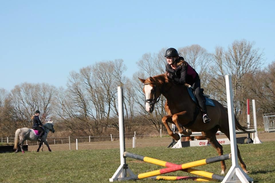 Anden særlig race Capella - Tøsen! <3 billede 11