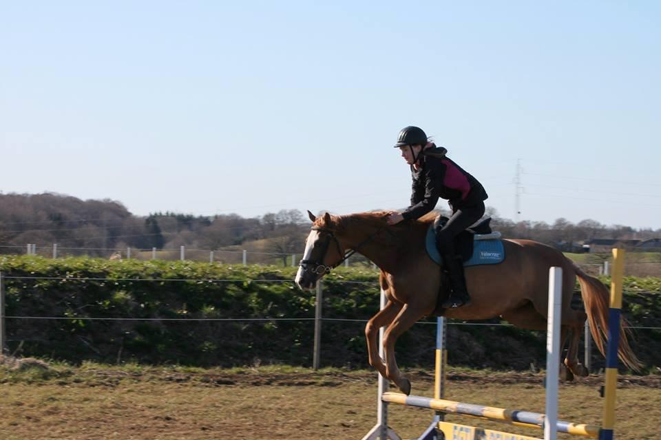 Anden særlig race Capella - Smukke!<3<3 billede 12