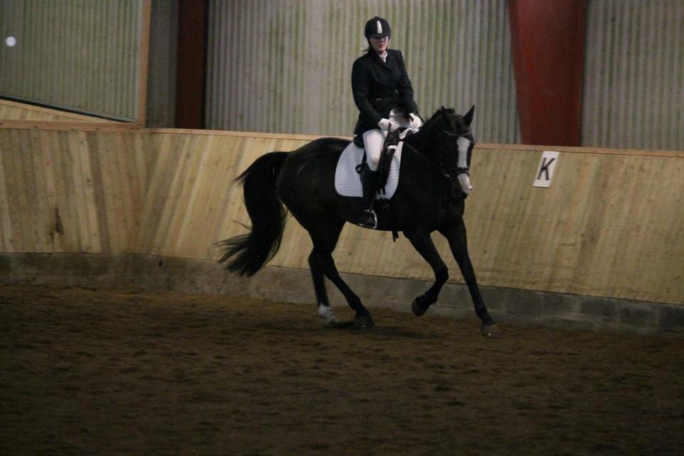 Anden særlig race Sofietje V billede 6