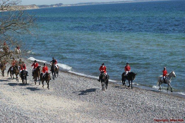 Anden særlig race Sofietje V billede 8