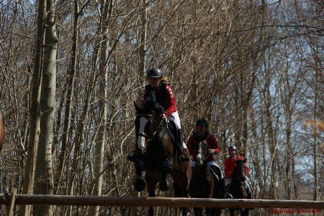 Anden særlig race Sofietje V billede 9