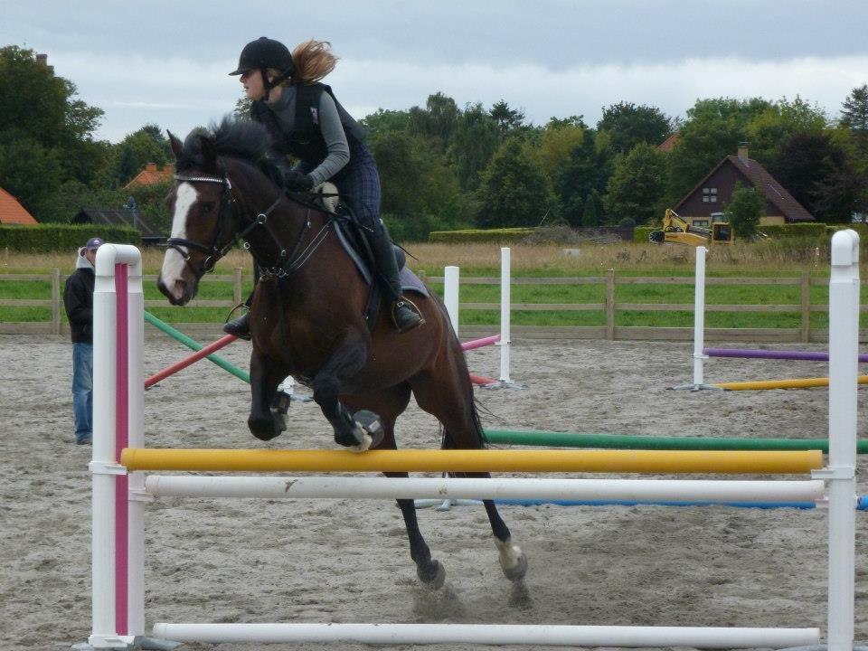 Anden særlig race Sofietje V billede 12