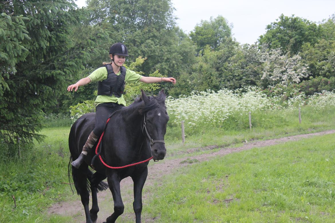 Anden særlig race MartiniQue, ^^min savnede hest - 100% tilllid <3 billede 9