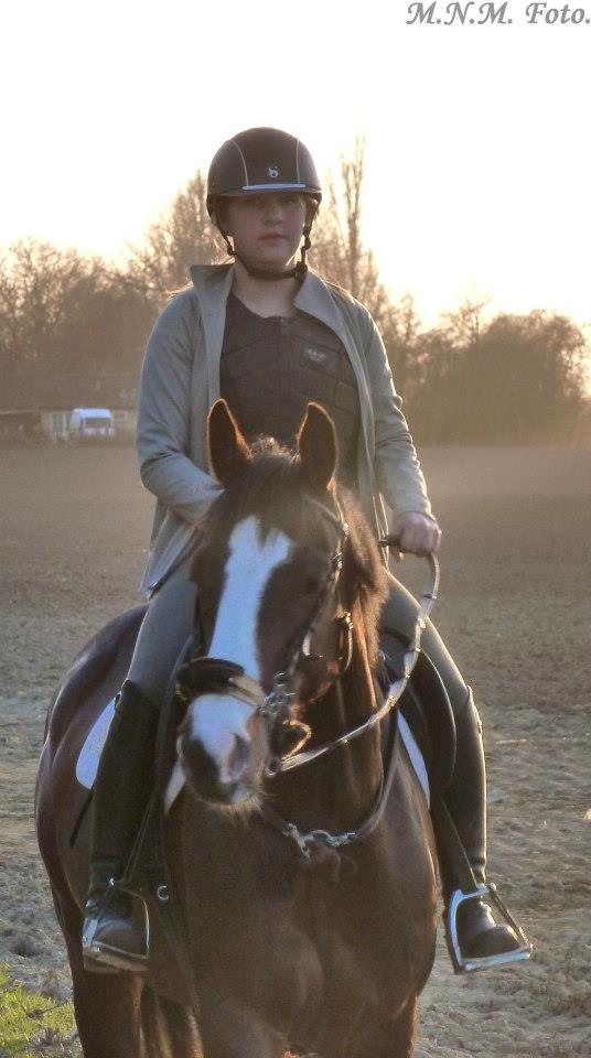 Anden særlig race Sofietje V billede 13