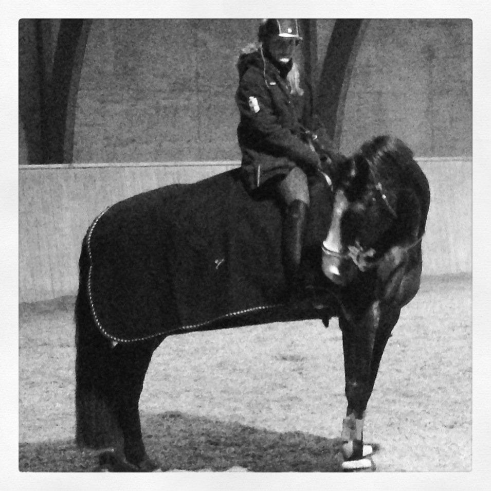 Anden særlig race Sofietje V billede 16