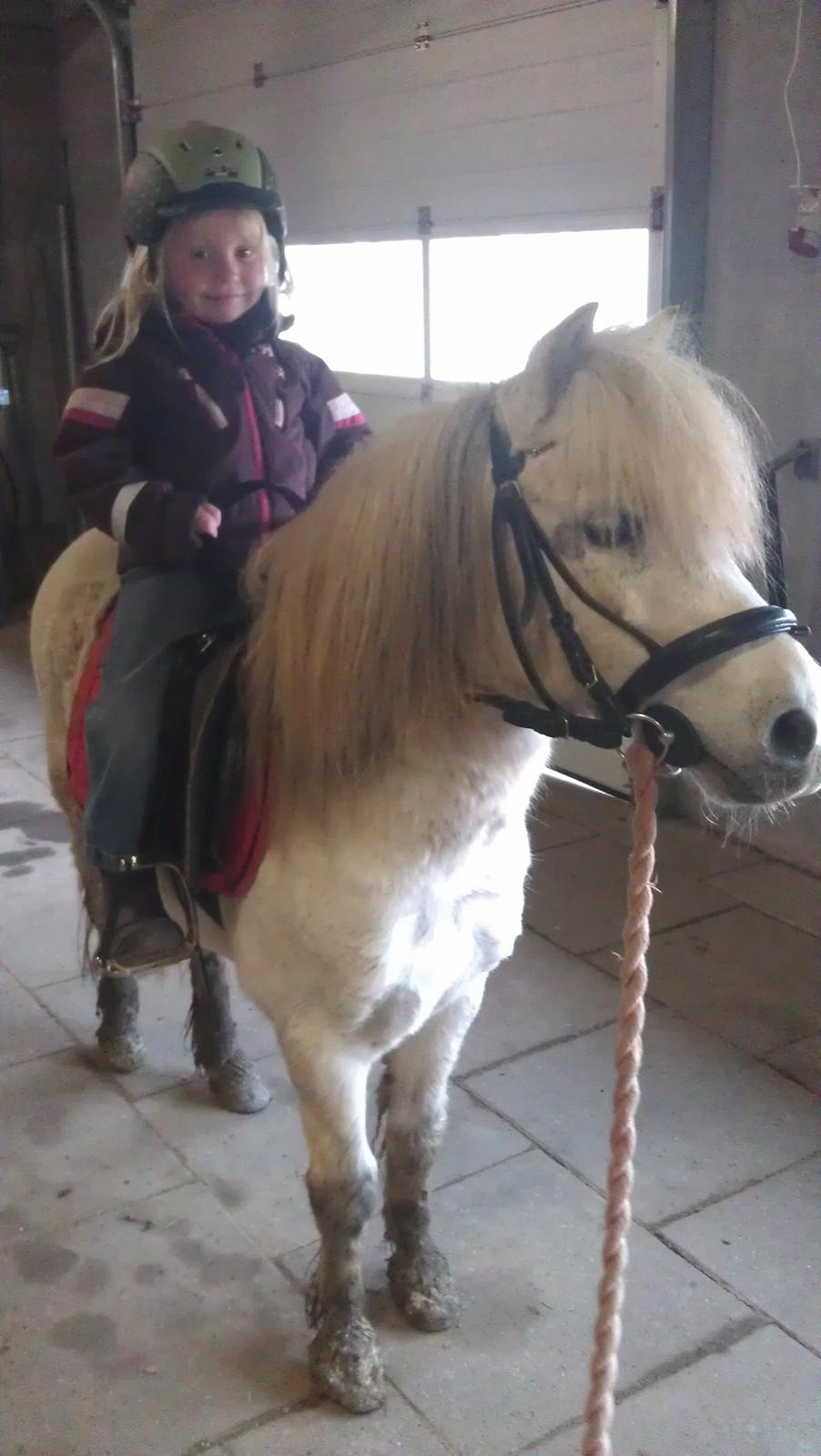 Anden særlig race Bonanza billede 2