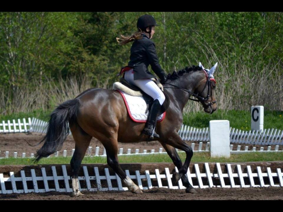 Tysk Sportspony Fairly's Break-Dancer My Playmate <3 billede 9