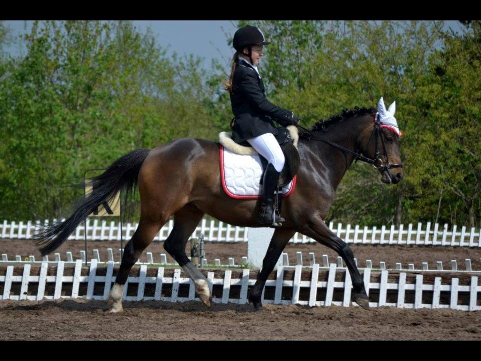 Tysk Sportspony Fairly's Break-Dancer My Playmate <3 billede 8