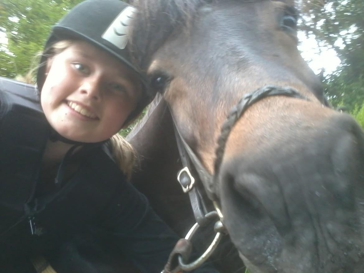 Islænder Flicka billede 1