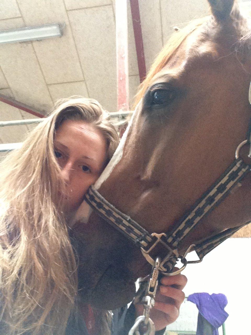 Fuldblod (XX) Cosco XX - Dig <3 billede 16