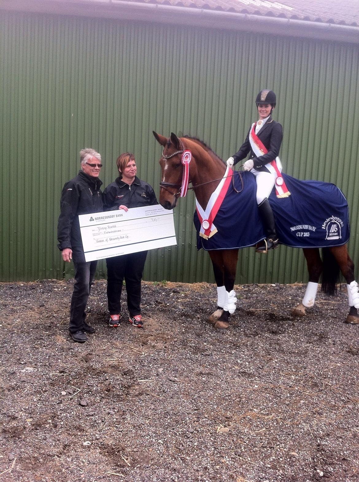 Dansk Varmblod Dancing Queen billede 6