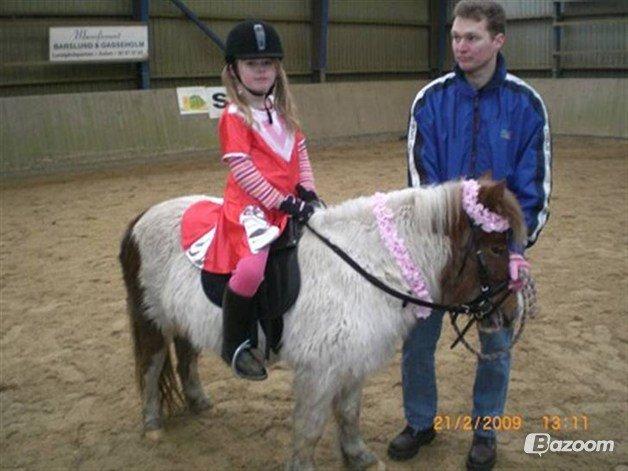 Anden særlig race Samba - fastelavn på Hodsager hori billede 7