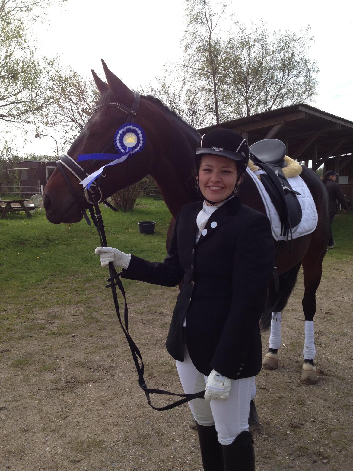 Oldenborg Langmosegårds Cassiopeia billede 16