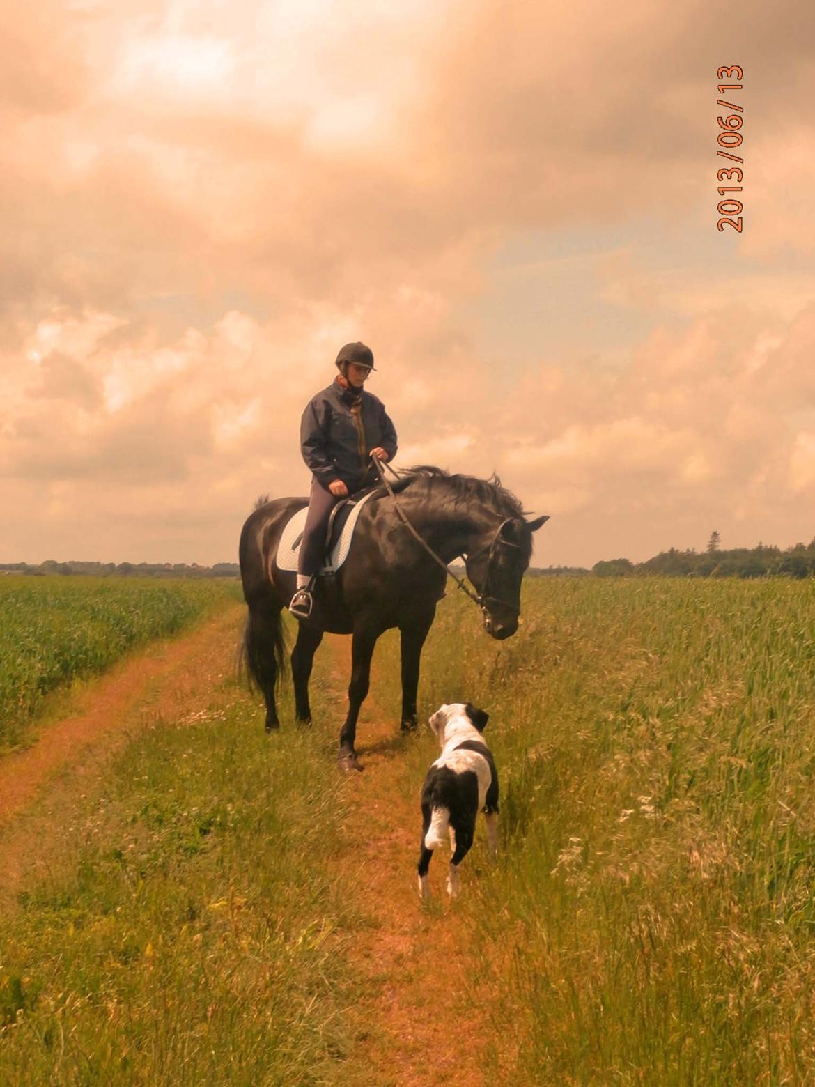 Oldenborg Hannibal - Sally med Hannibal og jeg på tur ;) billede 1