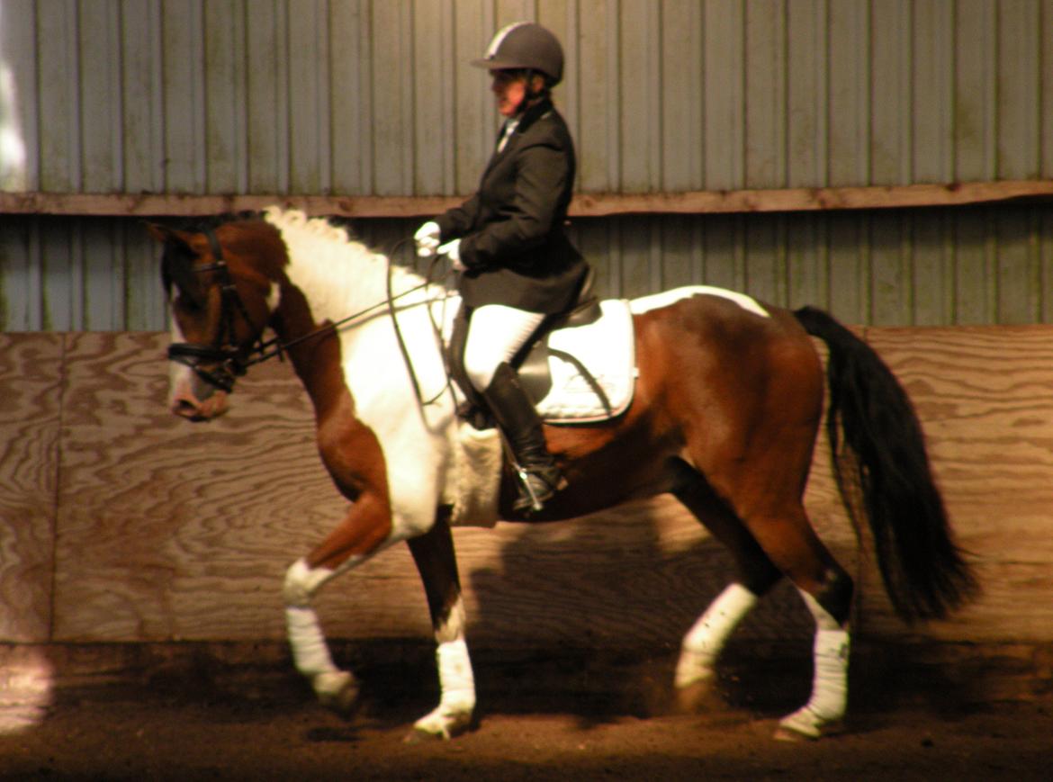 Anden særlig race Felix billede 3