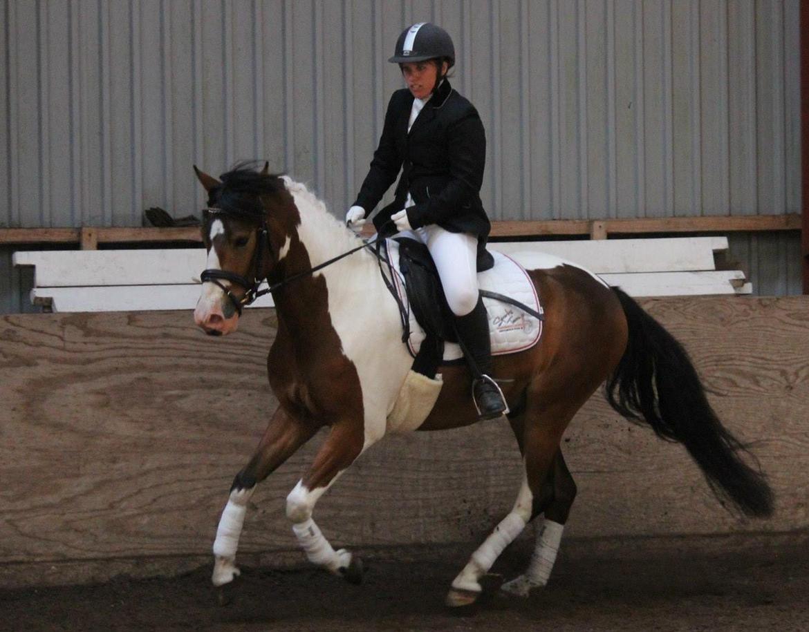 Anden særlig race Felix billede 2