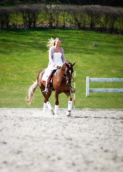 New Forest Jægersmindes Mel Gibson B-pony - Konfirmation 2013 billede 23