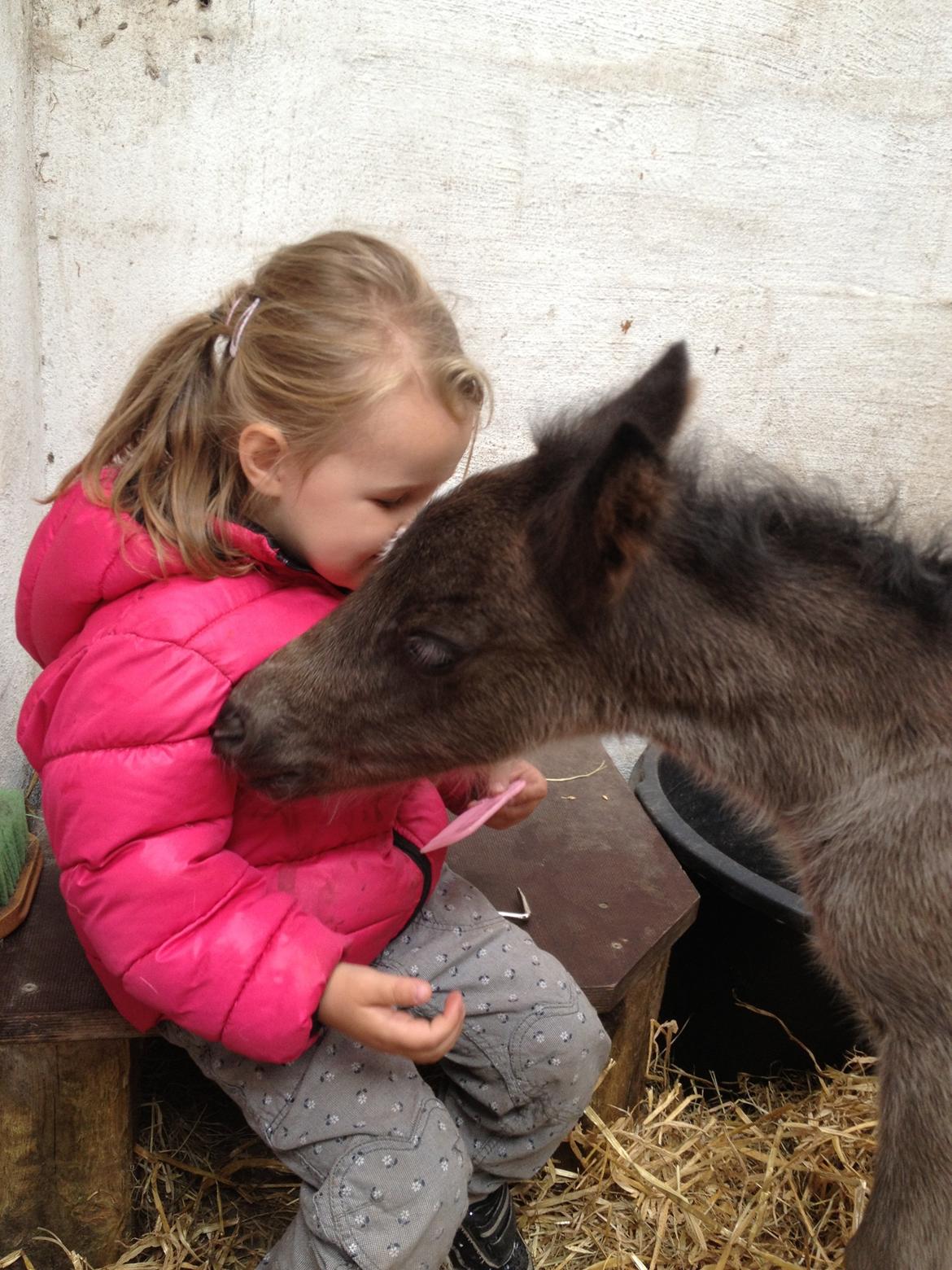 Anden særlig race Gucci billede 9