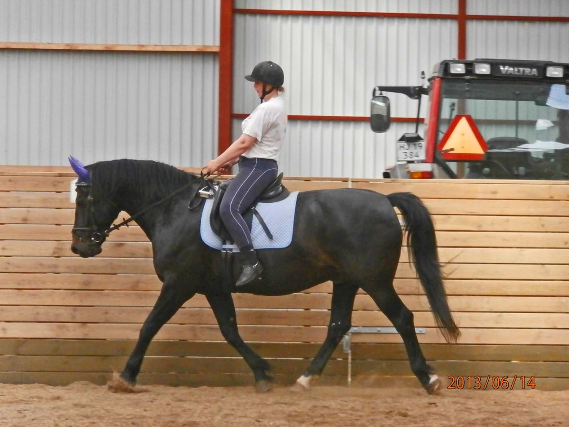 Oldenborg Hannibal  død - undervisning d. 14/6-13 billede 3