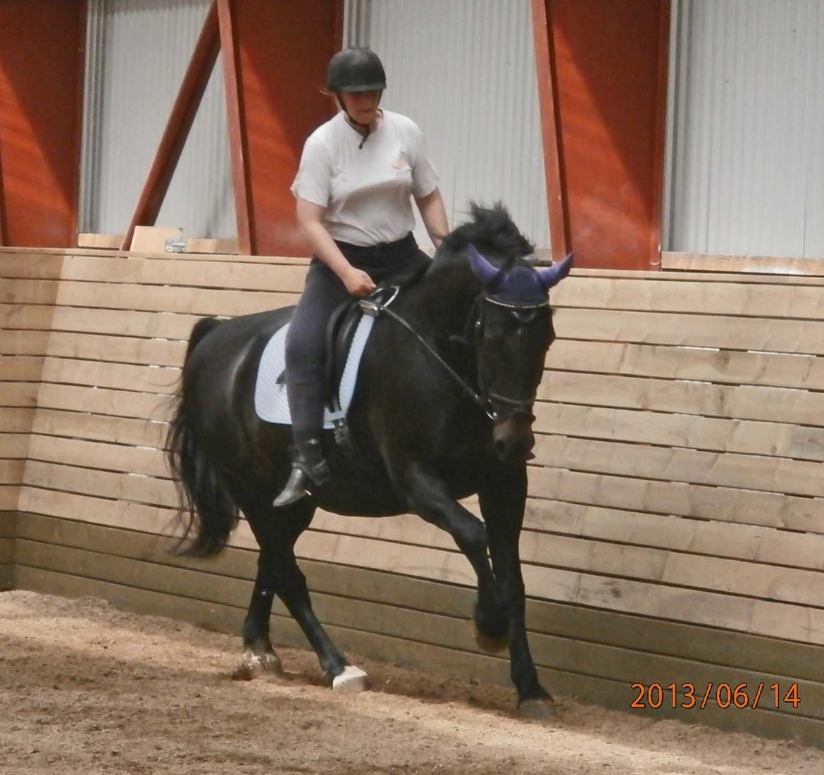 Oldenborg Hannibal  død - undervisning d. 14/6-13 billede 2