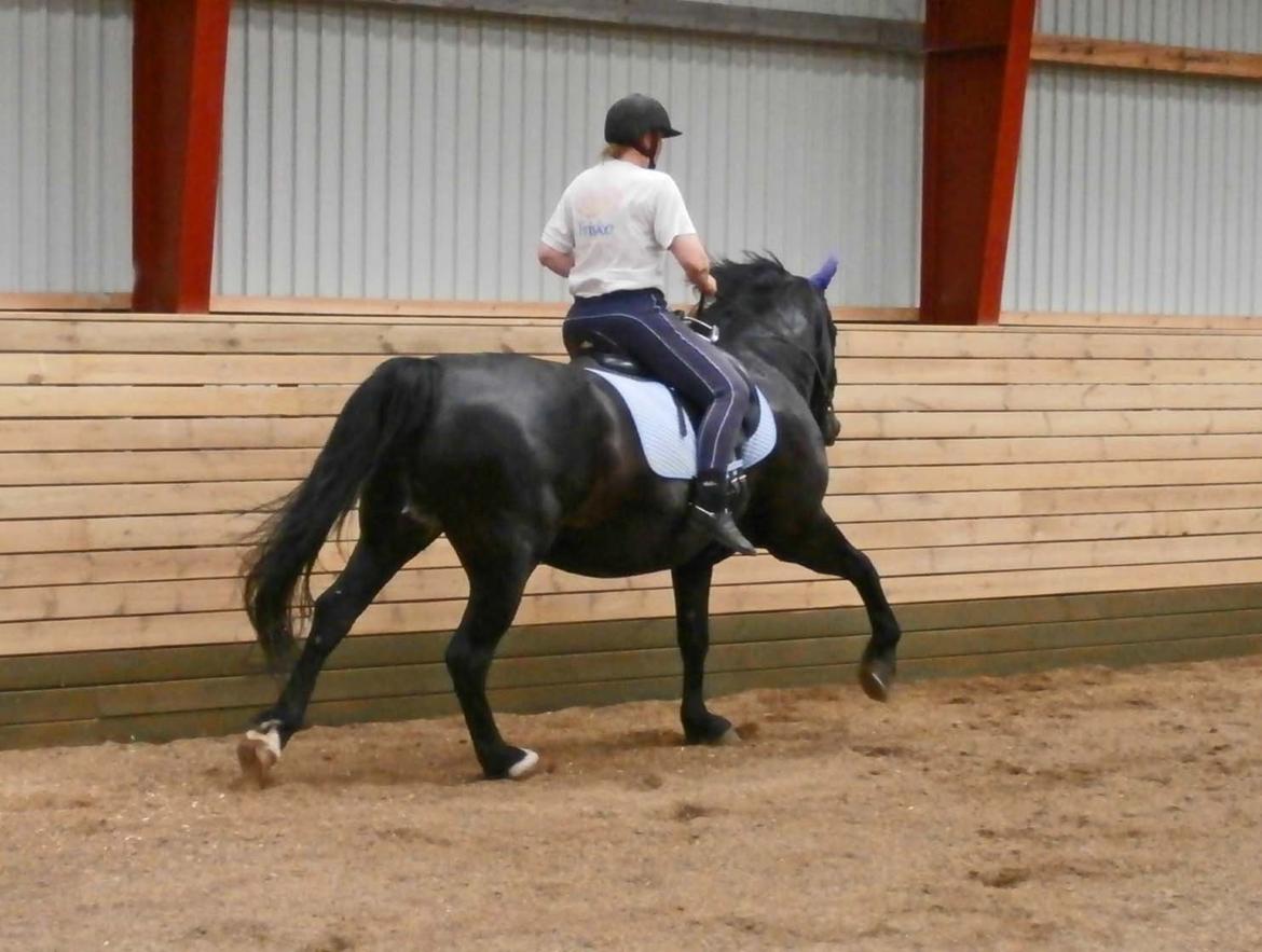 Oldenborg Hannibal  død - undervisning d. 14/6-13 billede 6