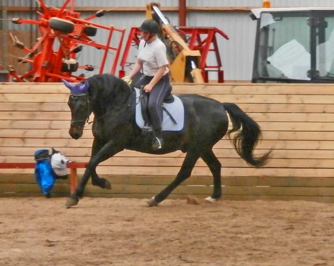 Oldenborg Hannibal  død - undervisning d. 14/6-13 billede 4