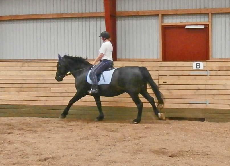 Oldenborg Hannibal  død - undervisning d. 14/6-13 billede 5