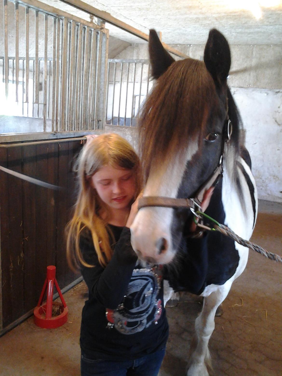 Tinker Egely's Nala - Min datter siger lige hej, hun lige kommet hjem billede 4