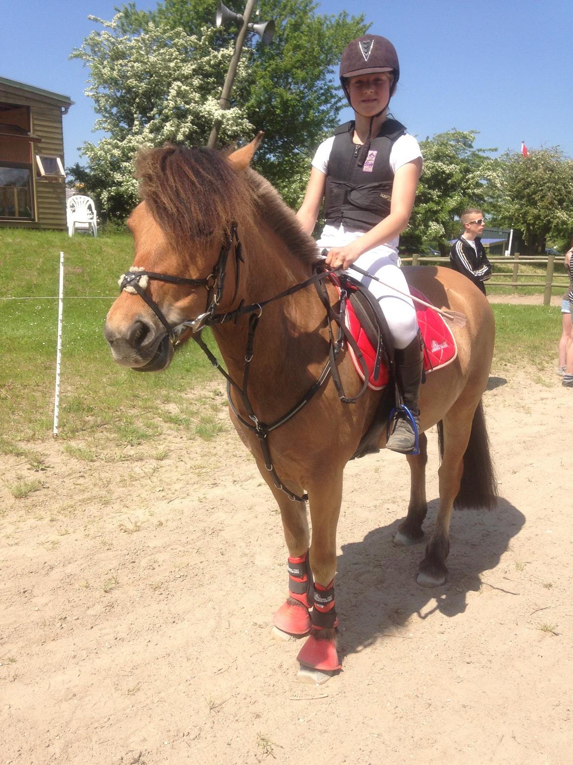 Anden særlig race Vanilla billede 12