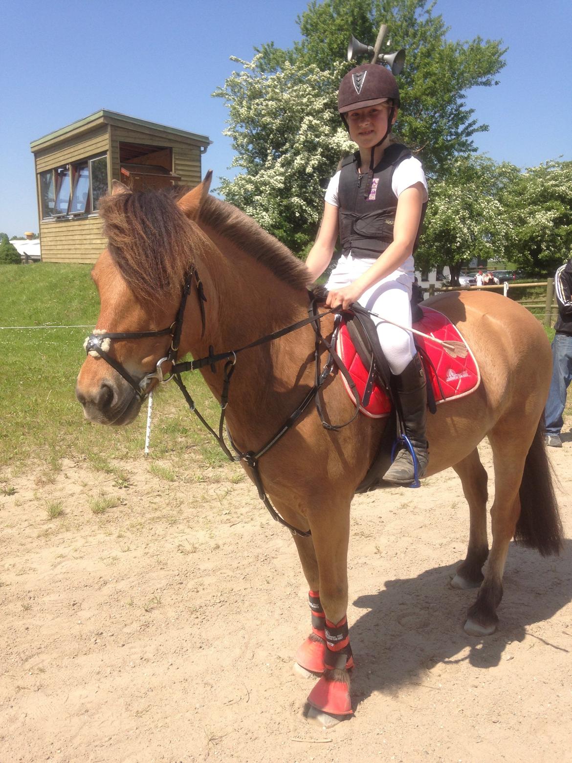 Anden særlig race Vanilla billede 11