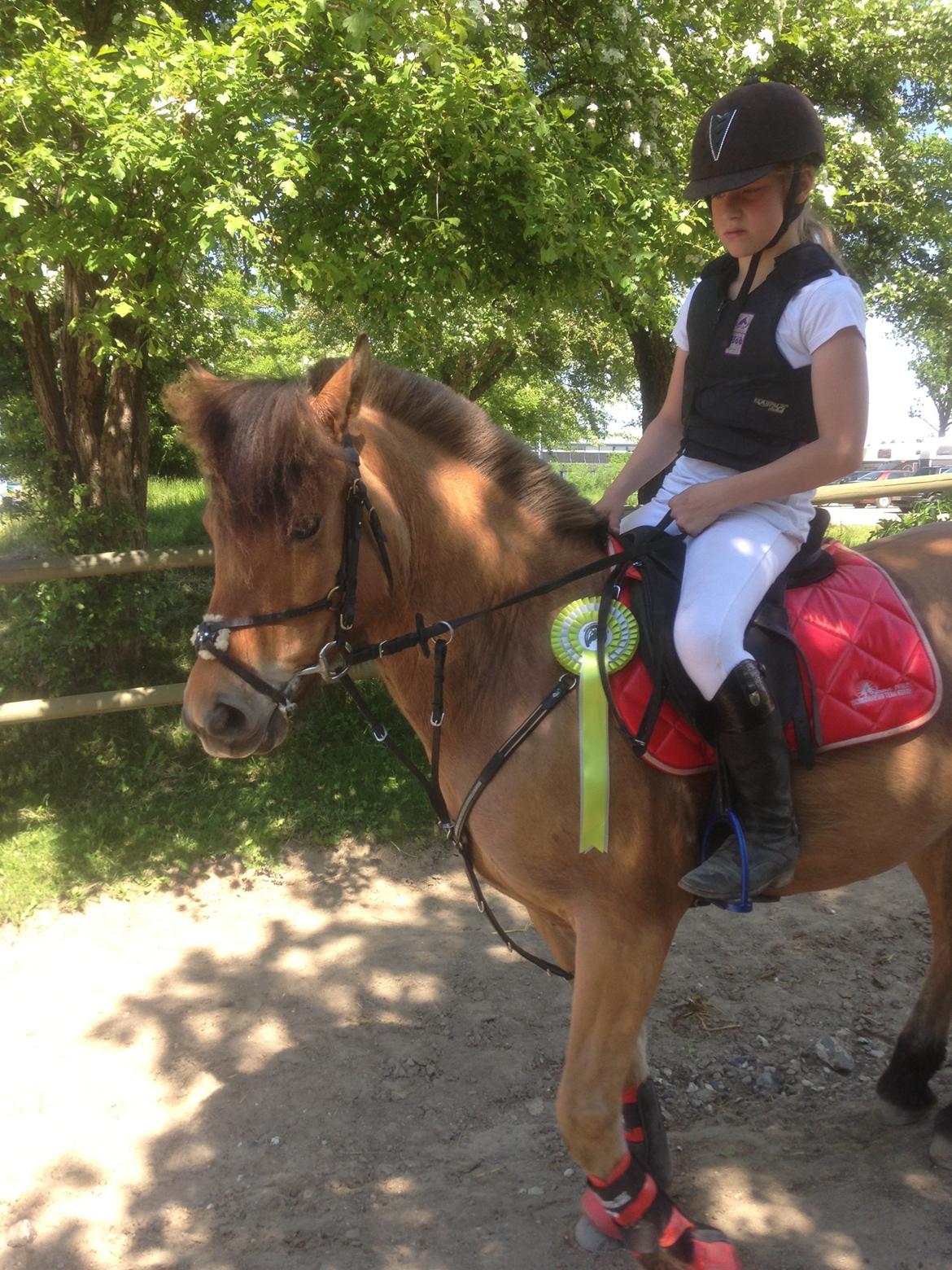 Anden særlig race Vanilla billede 14