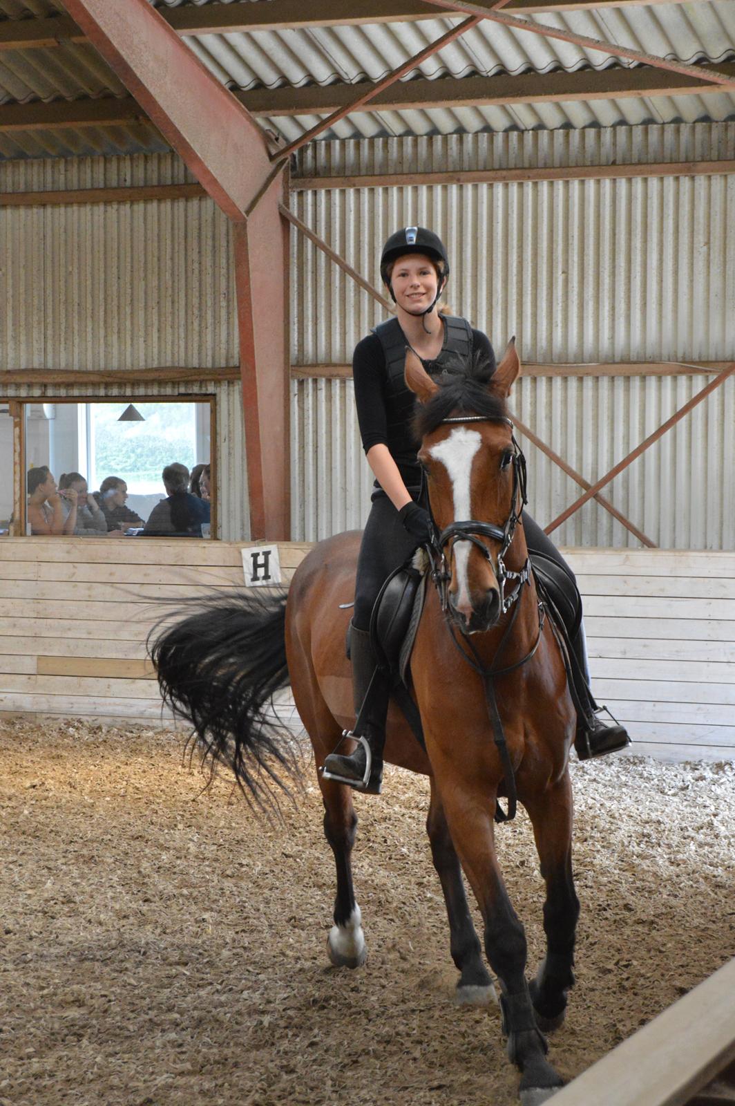 Holstener Armageddon billede 15