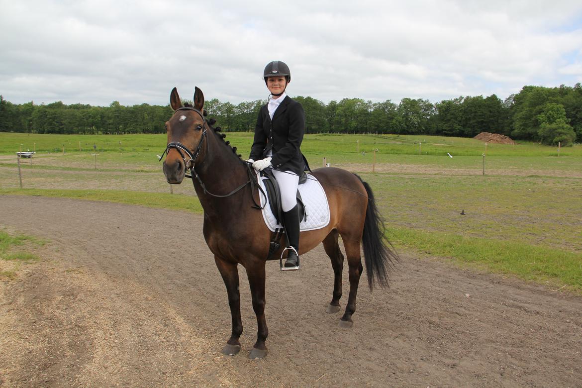 Anden særlig race Andriano billede 11