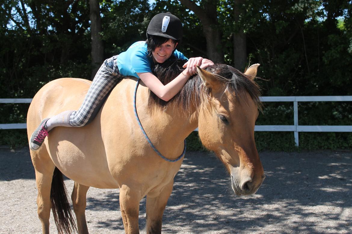 Anden særlig race Gaston *my soulmate*slogt - elsker det billede<3 billede 1