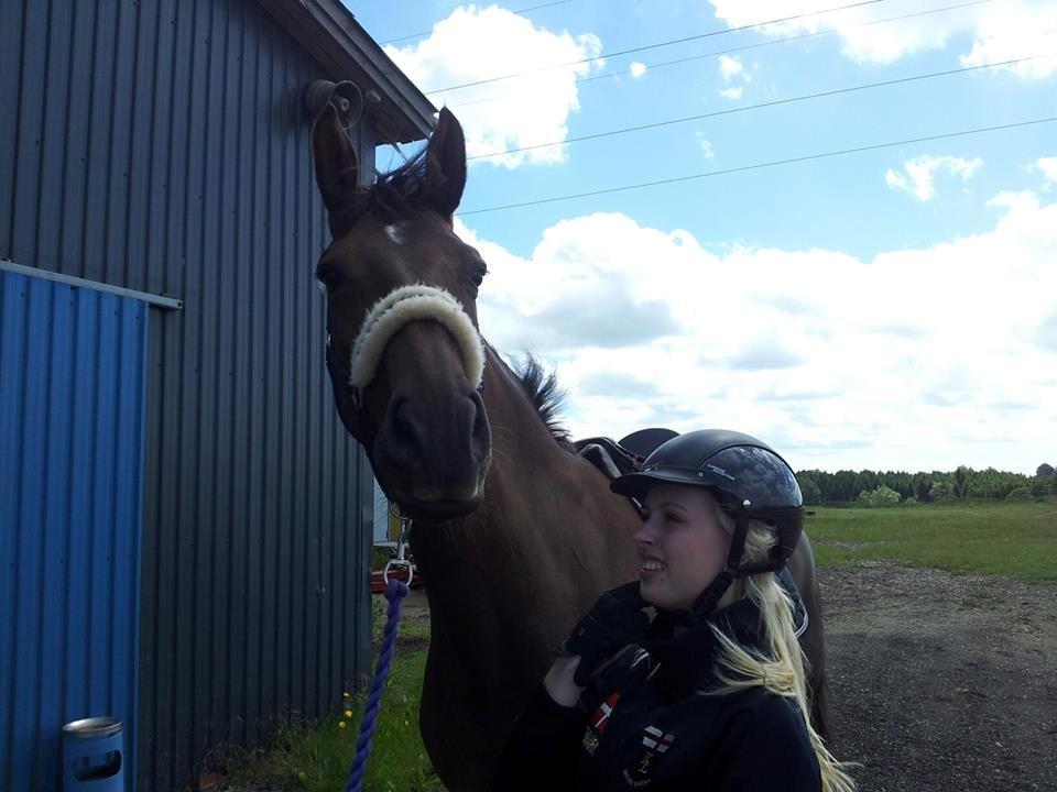 Holstener Calitas - Smukkes hovede..og et mindre heldigt billede af mig xD billede 10